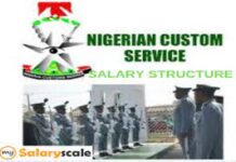 Nigerian Customs Service (NCS) LOGO