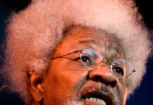 Nobel laureate Wole Soyinka