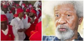 Prof. Wole Soyinka and the alleged confraternity video
