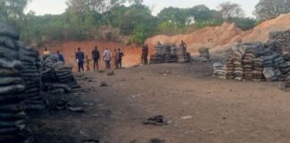 Kogi Govt Arrest 10 Illegal Miners, Impounds Over 50 Coal Laden Trucks