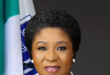 Head of the Civil Service of the Federation, Didi Esther Walson-Jack