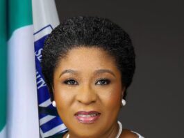 Head of the Civil Service of the Federation, Didi Esther Walson-Jack