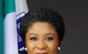 Head of the Civil Service of the Federation, Didi Esther Walson-Jack