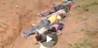 A video of bandits massacring over 150 kidnapped victims in Sokoto State