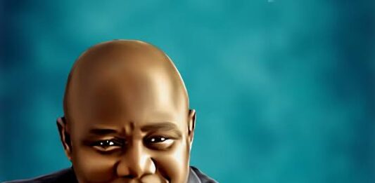 As my Chicks Played With Hawks of Zamfara… Festus Adebayo