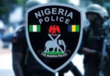 State Police: A Dangerous Rush or a Genuine Solution? State Police