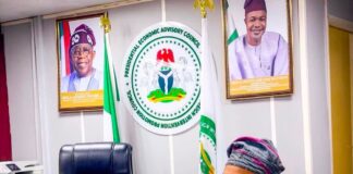 PFIPC: The Presidency Scandal That Raises More Questions Than Answers, By Kabir Akintayo