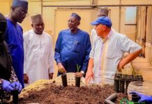 Jigawa at 35: Umar Namadi and the Making of a Greater Jigawa