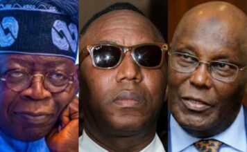 TMG vs TMS: The Communication Dilemma Over Tinubu’s Future