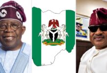 Tinubu Will Take Nigeria to Promised Land — Tolu Bankole